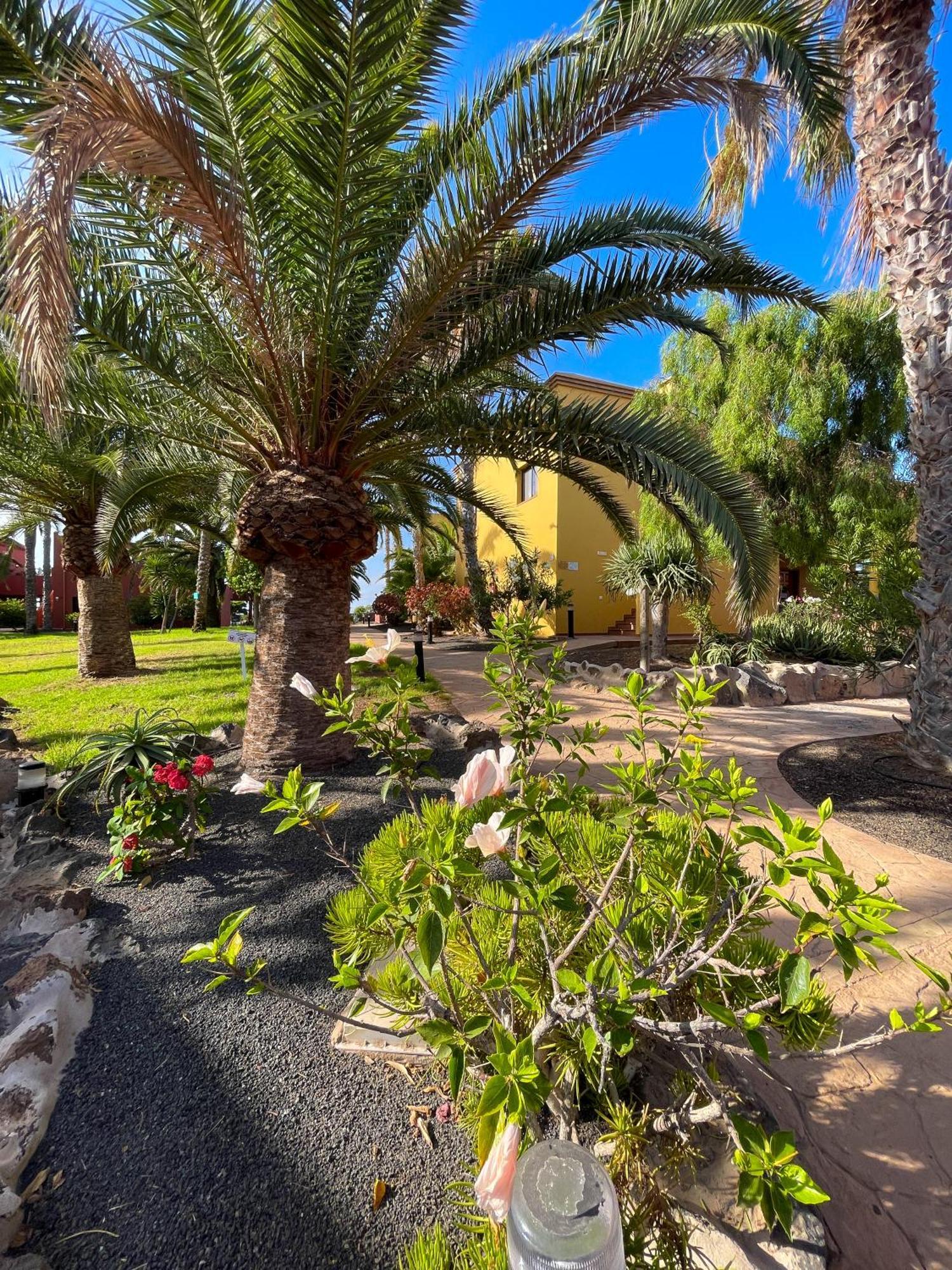 Karol Home By Best Holidays Fuerteventura Corralejo Luaran gambar